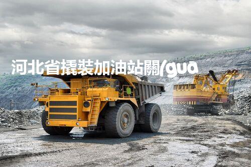 河北省撬裝加油站關(guān)鍵技術(shù)突破！化工廠拆除工程的新方法探索？